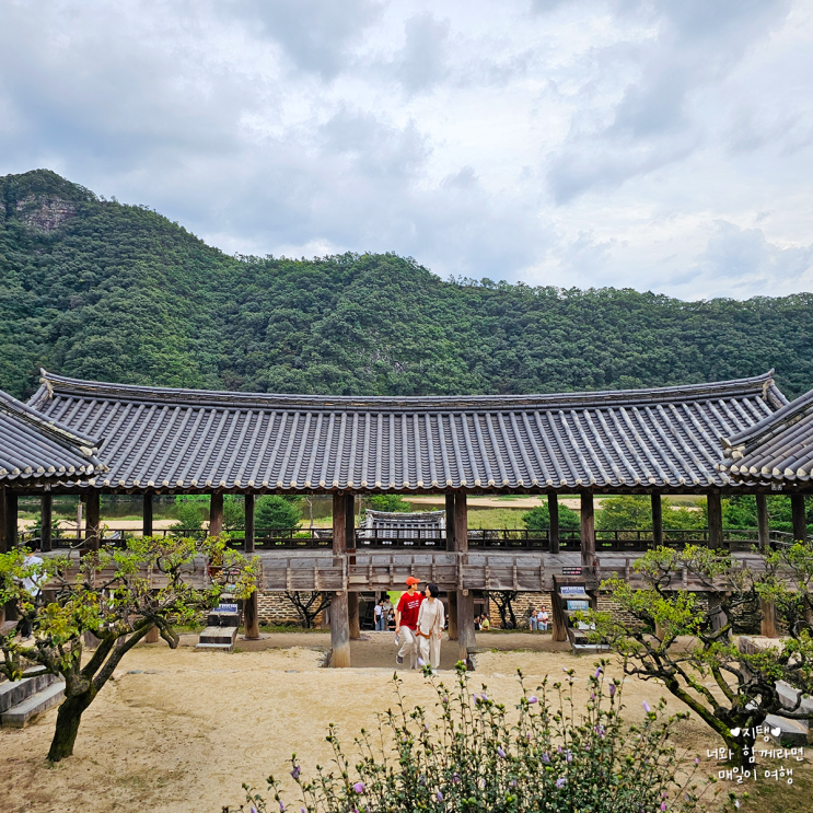 하회마을에서 가까운 안동관광지 병산서원 가족과 함께한 여유로운 하루