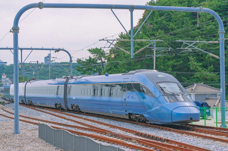 2026 1월 KTX 타고 떠나는 겨울 기차여행! : 네이버 블로그