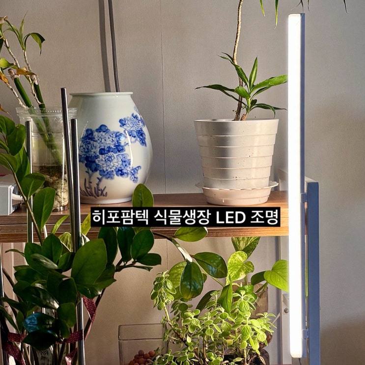 공간 차지하지 않는 히포팜텍 식물생장 라이트바 식물LED조명 : 네이버 블로그