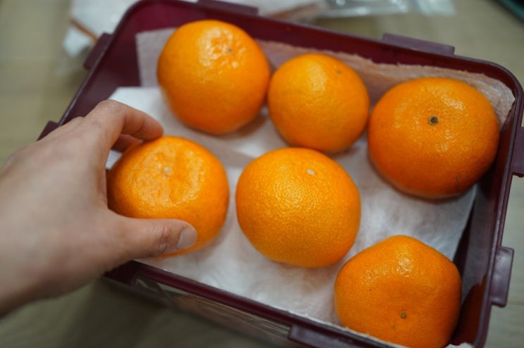 귤의 진짜 ‘단맛’을 결정하는 비밀, 따로 있습니다 : 네이버 블로그