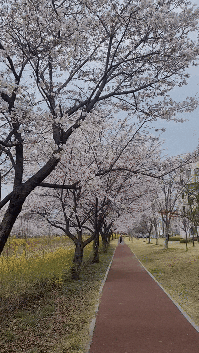 저들이어린이공원 방문 사진