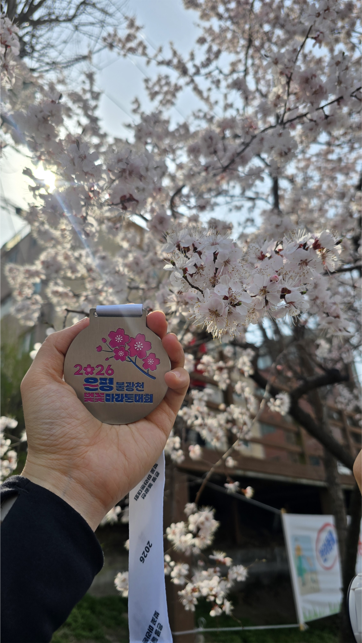 2026 은평 불광천 벚꽃마라톤 5km 참가 후기