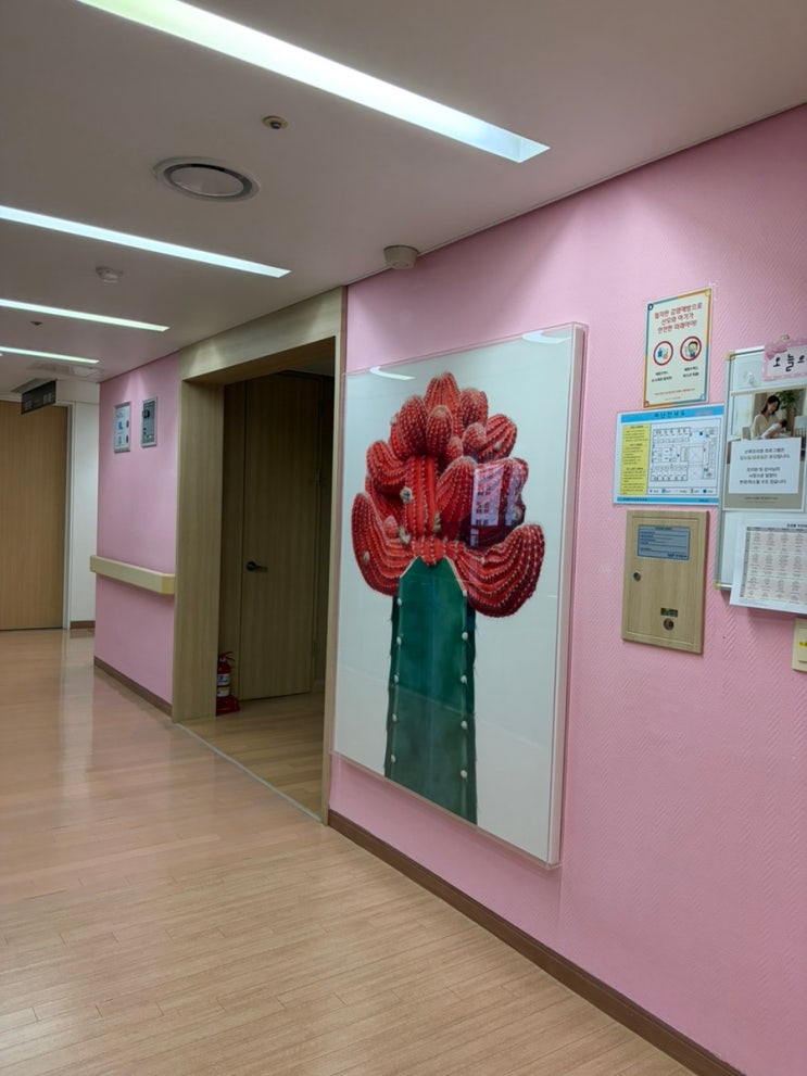 공용복도,분홍복도,산후조리원복도,공용시설