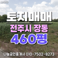 전북 전주시 덕진구 장동 토지 매매 - 토지 약 460평