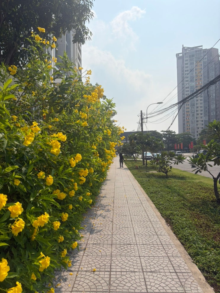 [260402] 호치민일상-퍼 레 2호점, seeker saigon, 시차가 나는 한국티비,