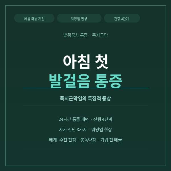 아침 첫 발걸음 발뒤꿈치 통증-족저근막염의 특징적 증상 : 네이버 블로그