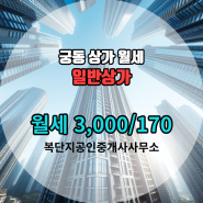 궁동 월세 매물정보