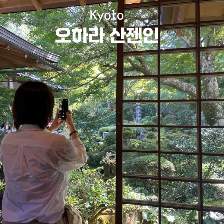 교토 근교 가볼만한곳 오하라 산젠인 당일치기