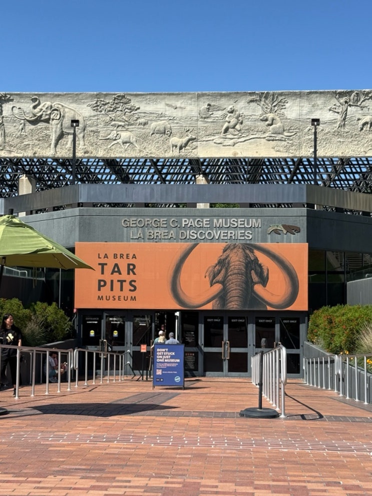 LA 아이와 가볼만한곳 / 라브레아 타르피츠&박물관 La Brea Tar Pits and Mu....