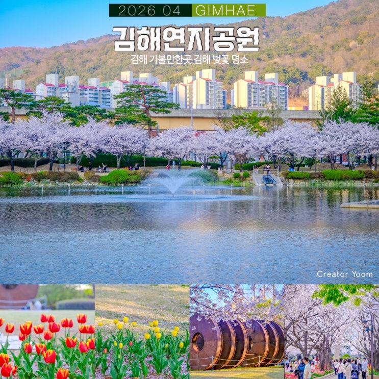 김해 가볼만한곳 김해연지공원 김해 벚꽃 : 네이버 블로그