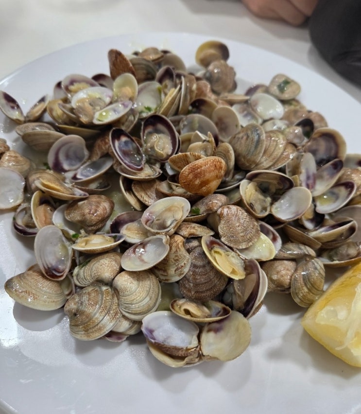 그라나다 해산물 타파스맛집 로스 디아만테스 솔직 후기-입장꿀팁, ....