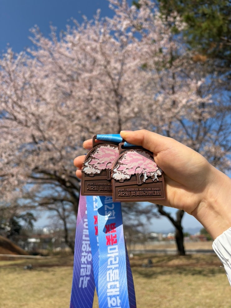 국립창원대와 함께하는 2026 제2회 창원 벚꽃마라톤대회 참여후기