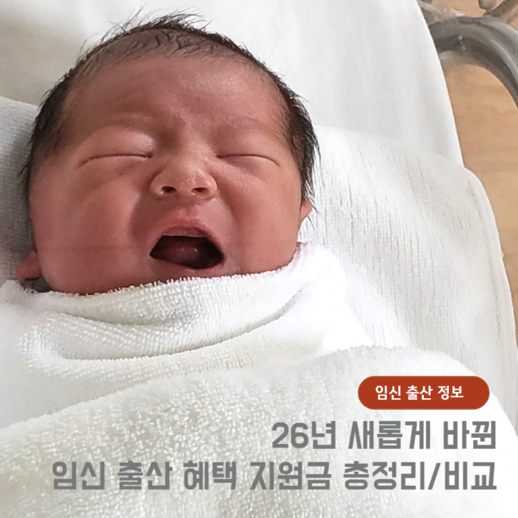 26년 바뀐 출산 혜택 임신 지원금 부모급여 아동수당 정리 : 네이버 블로그