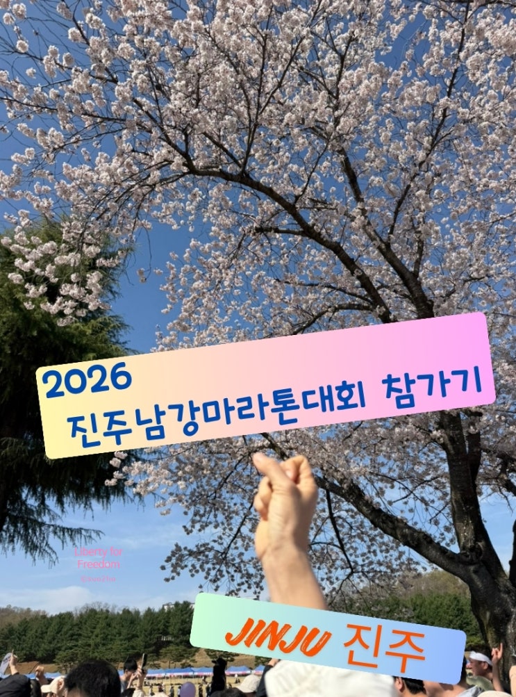 2026 진주남강마라톤대회 모두가 벚꽃 하늘에 풍덩 빠지다 함께하는 달리기 대회 참가기