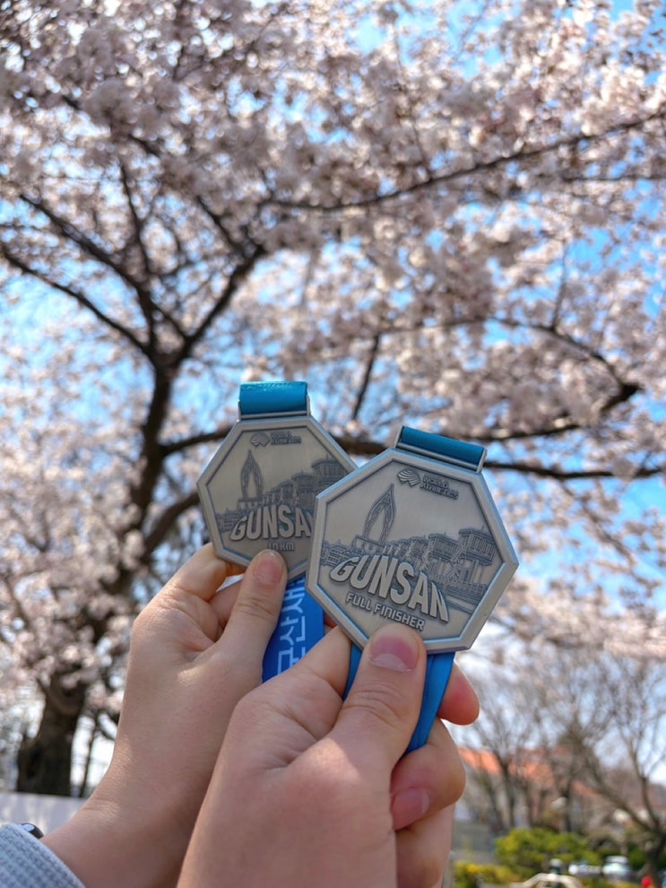 2026 군산새만금마라톤 첫 10km 완주, 풀코스 1위 직관 후기