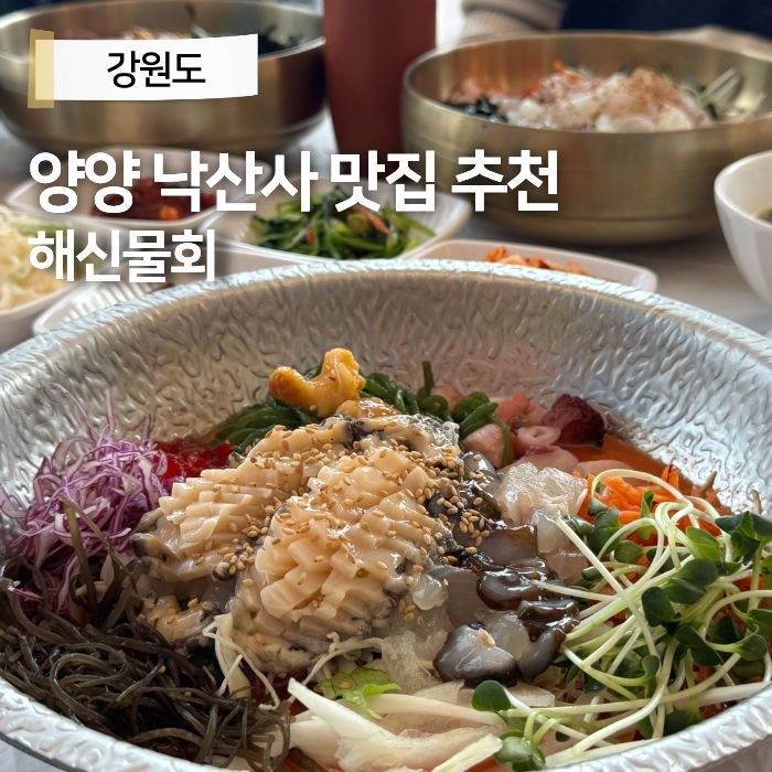 양양 낙산사 맛집 먹거리 갈만한곳 낙산해수욕장 물회 포장 해신물회 : 네이버 블로그