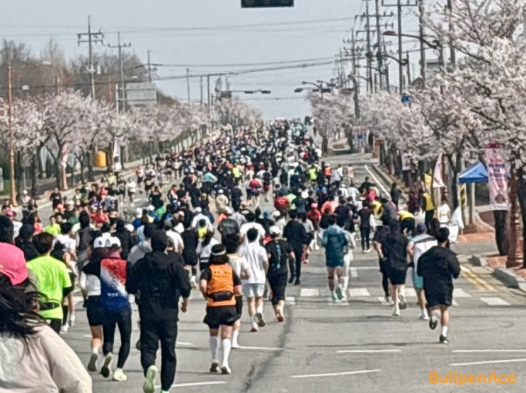 제22회 예산윤봉길 전국마라톤대회 참가기 (10km)