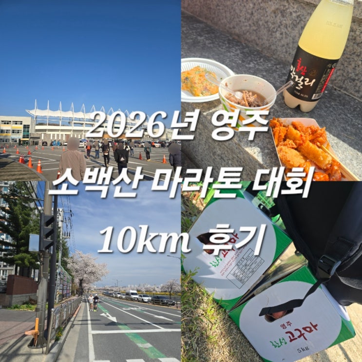 2026년 영주 소백산 마라톤 대회 10km 후기