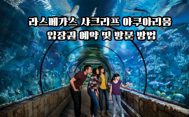 라스베가스 샤크리프 아쿠아리움 입장권 예약 및 방문 방법 : 사막 ....