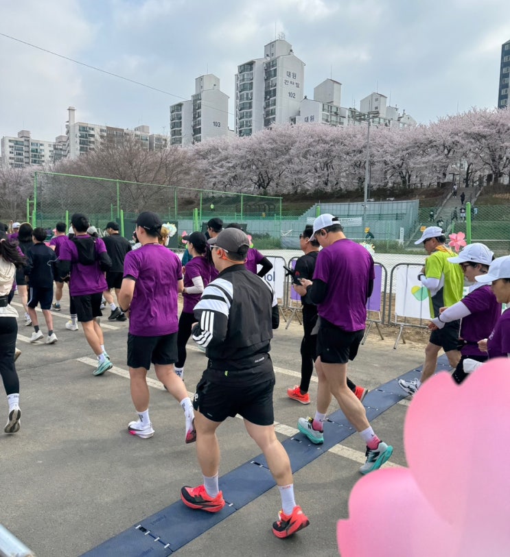 [마라톤] 서울 벚꽃 맛집 안양천 2026 서울 봄꽃레이스 10km 완주 후기 🏃🏻‍♀️🌸