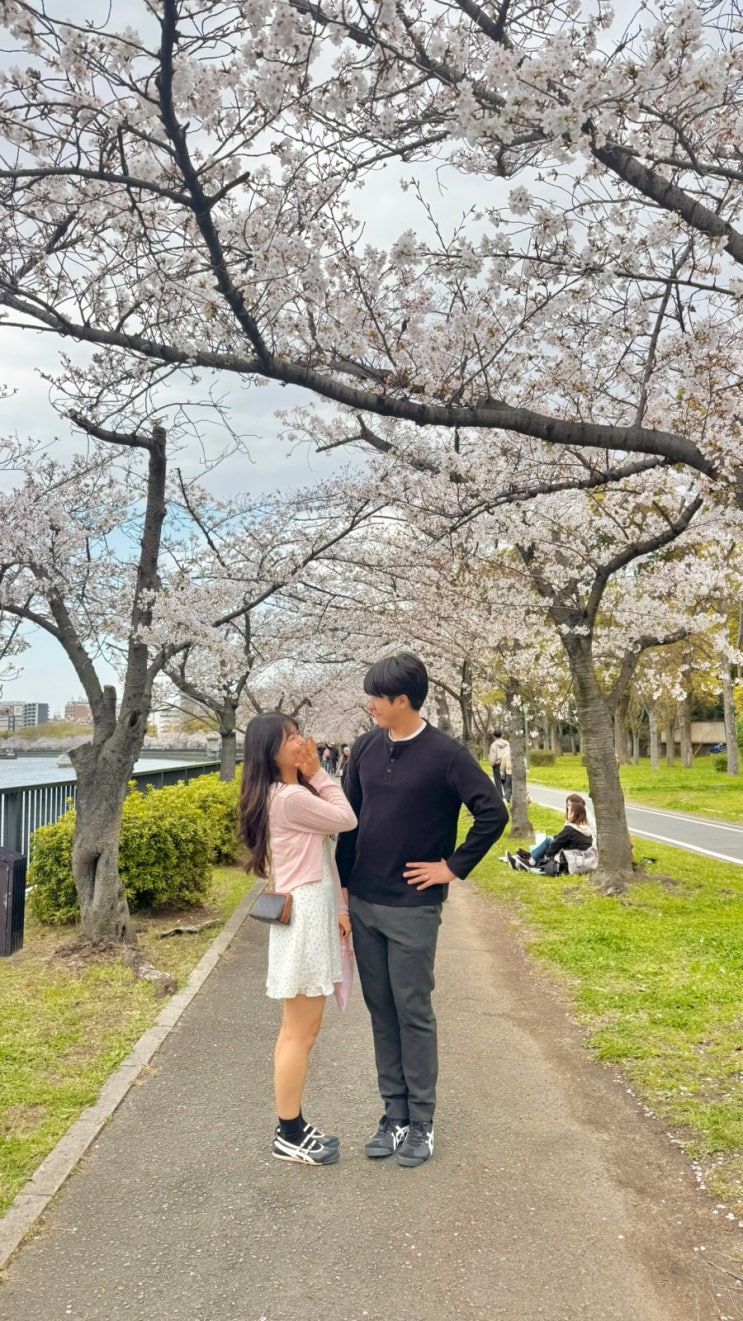 [오사카] 벚꽃 명소 | 오사카 조폐 박물관, 게마 사쿠라노미야 공원, ....