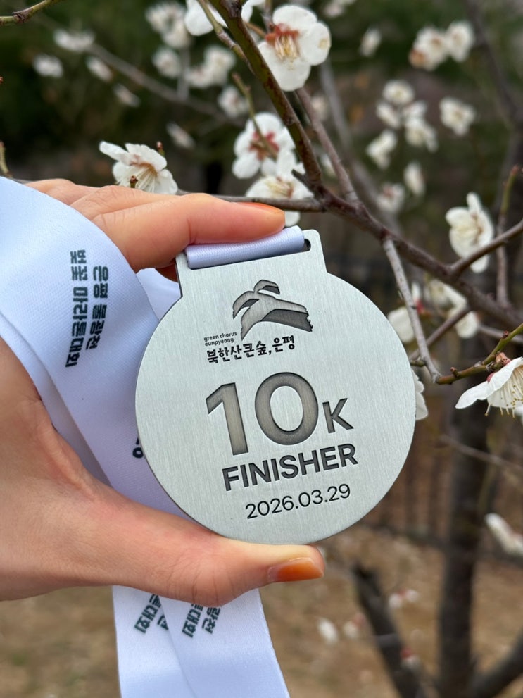 2026 은평 불광천 벚꽃마라톤대회 10km 완주