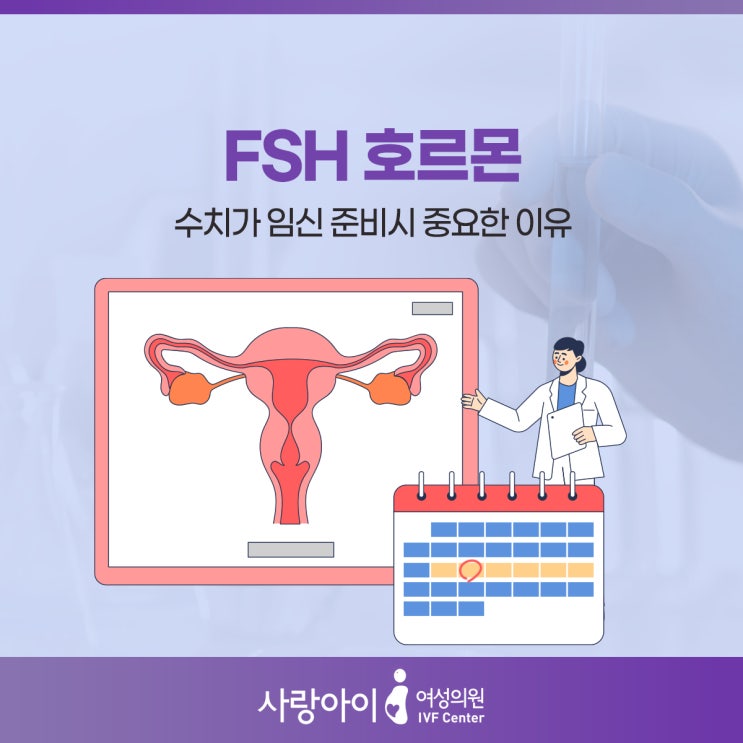 FSH호르몬수치 임신준비시 중요한 이유 : 네이버 블로그