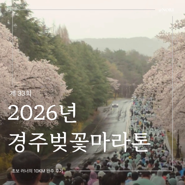 2026 경주벚꽃마라톤 대회 10KM 완주 후기