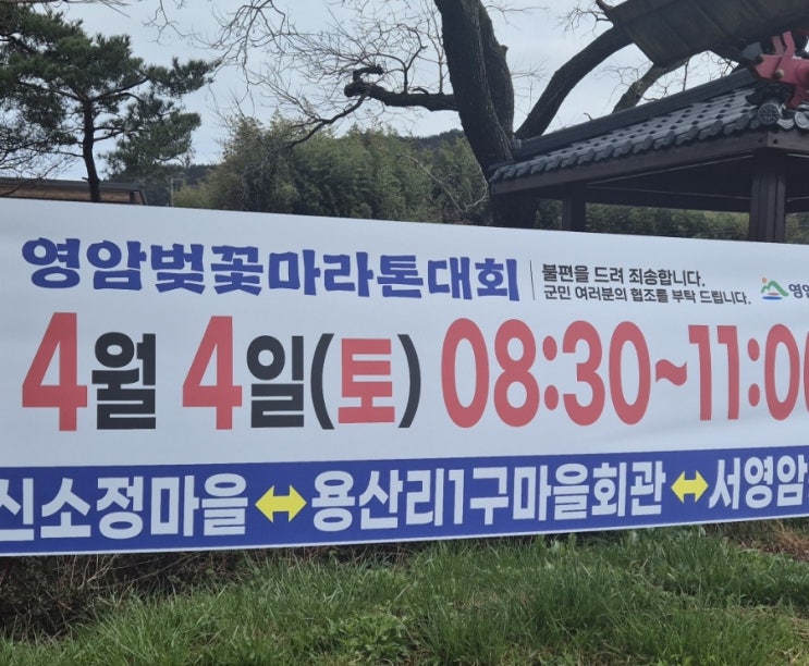 세 번째 마라톤-영암벚꽃마라톤 마음벙커