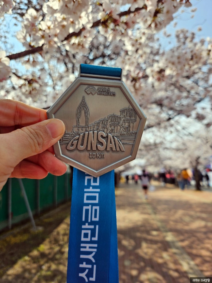 [마라톤]2026군산 새만금 마라톤 10K 완주 성공°