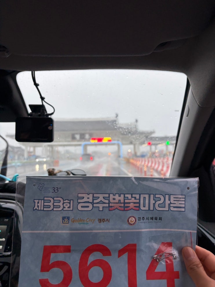 2026 경주 벚꽃마라톤, 아니 벚꽃비마라톤 참가후기