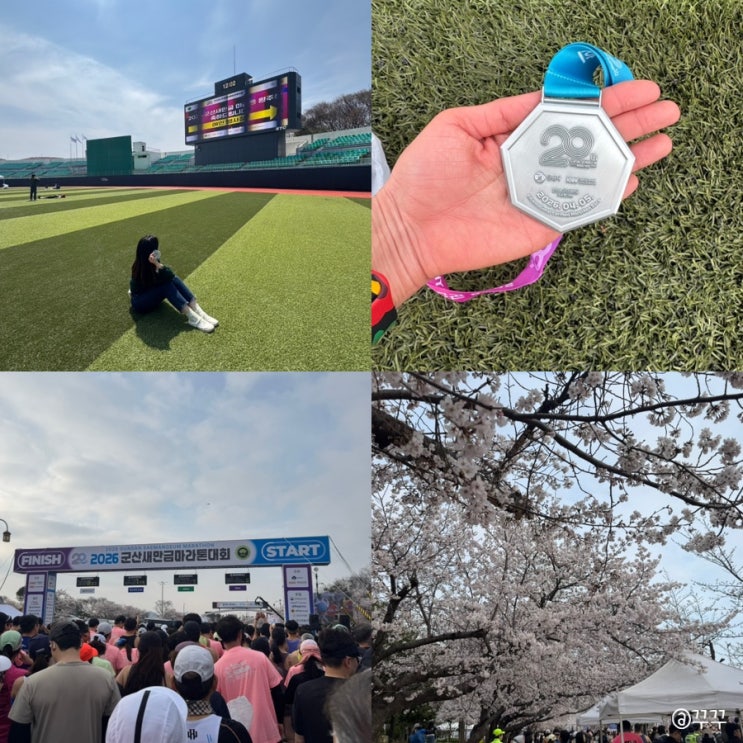 2026 군산새만금국제마라톤 10km 참가후기 벚꽃런