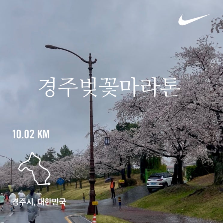 경주벚꽃마라톤 후기, 첫 우중마라톤, 낭만러닝
