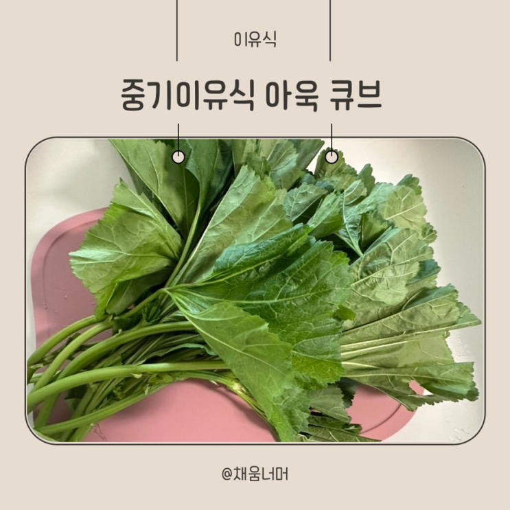 중기 이유식 아욱 큐브 만들기 (세척·조리방법, 조합 정리) : 네이버 블로그
