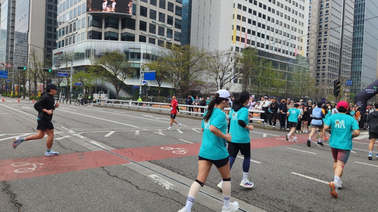 2026 THE RACE SEOUL 21K : (넘어짐 사건편)
