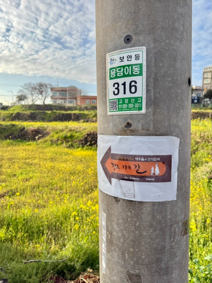 제주도 산책길, 제주 용담해안도로 드라이브 코스 추천 : 용두암 바....
