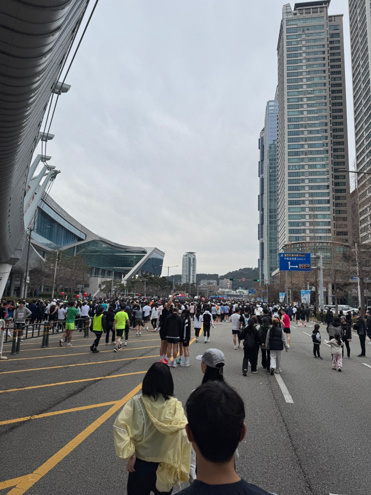 2026 부산 마라톤 성우하이텍배 KNN 환경마라톤 후기