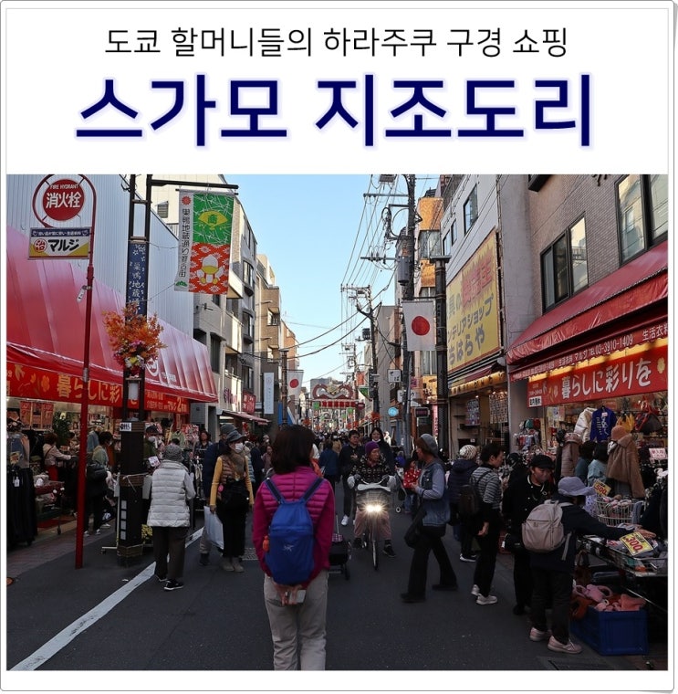 일본 도쿄 여행 가볼만한 곳 재래시장 스가모 지조도리 상점가 쇼핑....