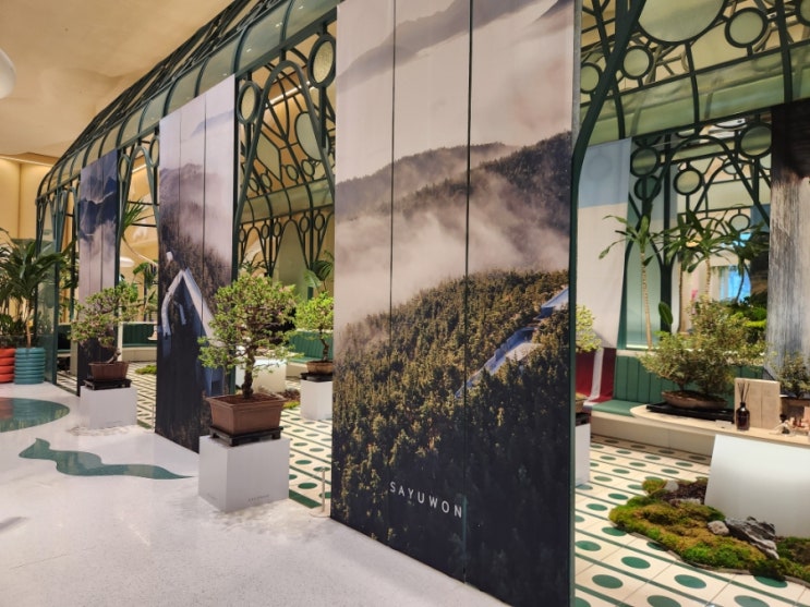 (대구 중구) 더현대대구4월팝업 도심속에서 만나는 작은 푸르름 군위 사유원 팝업