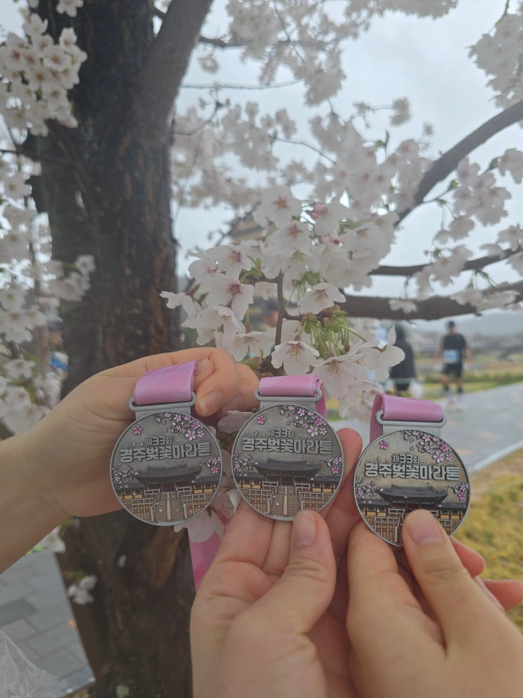2026 경주벚꽃마라톤 10km 완주 후기! #비쫄딱맞고 덜덜떨었음💦