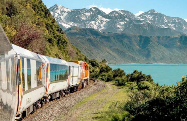 뉴질랜드 기차여행?!! Coastal Pacific train !! : 네이버 블로그