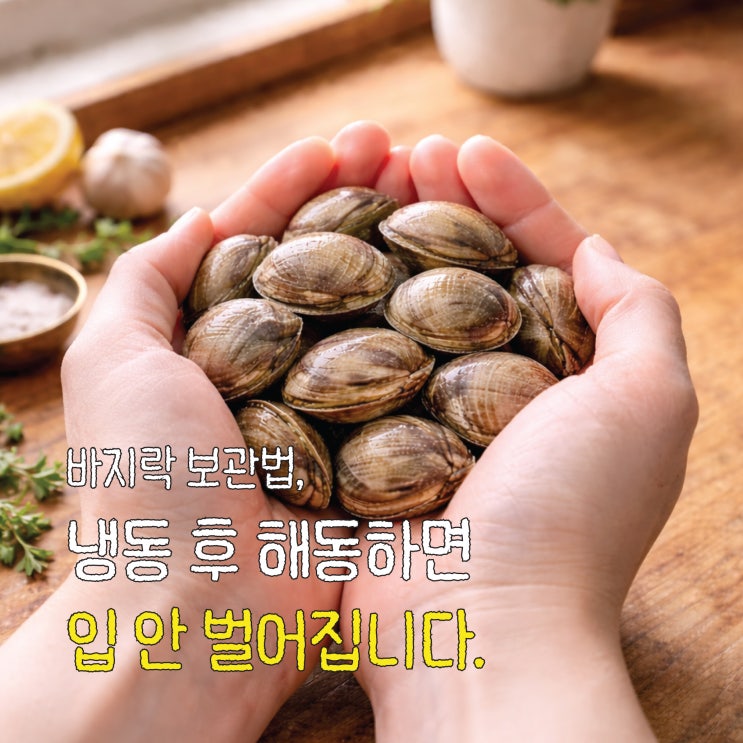 바지락 보관법, 이 실수 하나로 조개가 끝까지 안 벌어집니다. (해감방법, 시간, 깐 바지락 보....