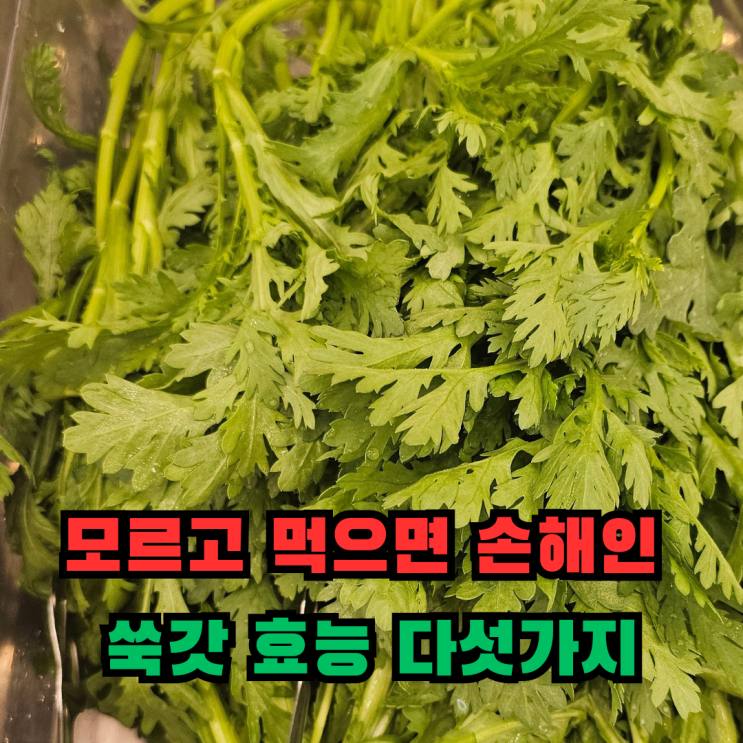 모르고 먹으면 손해인 쑥갓 효능 다섯가지 : 네이버 블로그