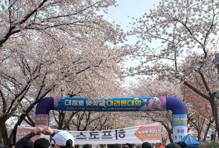 2026 대청호 벚꽃길 마라톤대회 10km 완주 후기