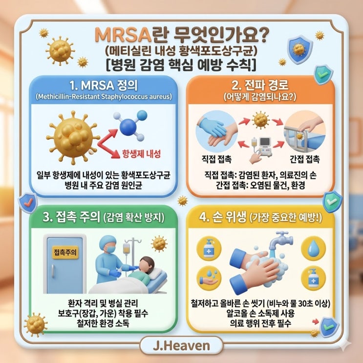 MRSA란 무엇인가요? 전파 경로·접촉주의·손 위생까지 한눈에 정리 (병원 감염 핵심) : 네이버 블로그
