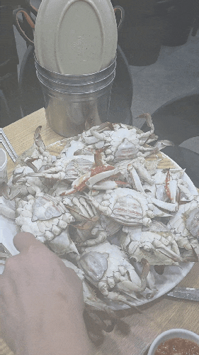 🦀 인천종합어시장 꽃게 & 쭈꾸미 리얼 후기 (연안부두 첫 방문) : 네이버 블로그