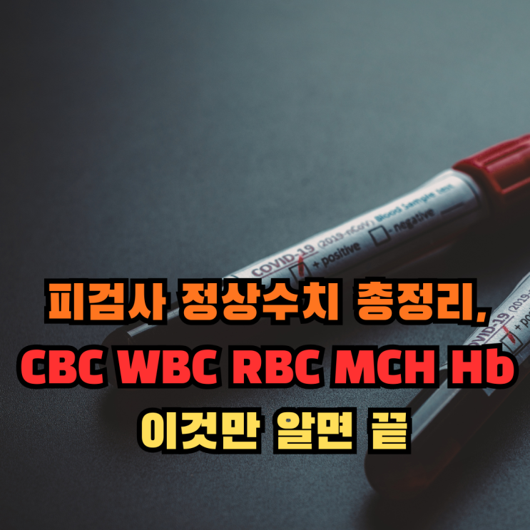 피검사 정상수치 총정리, CBC WBC RBC MCH Hb 이것만 알면 끝 : 네이버 블로그