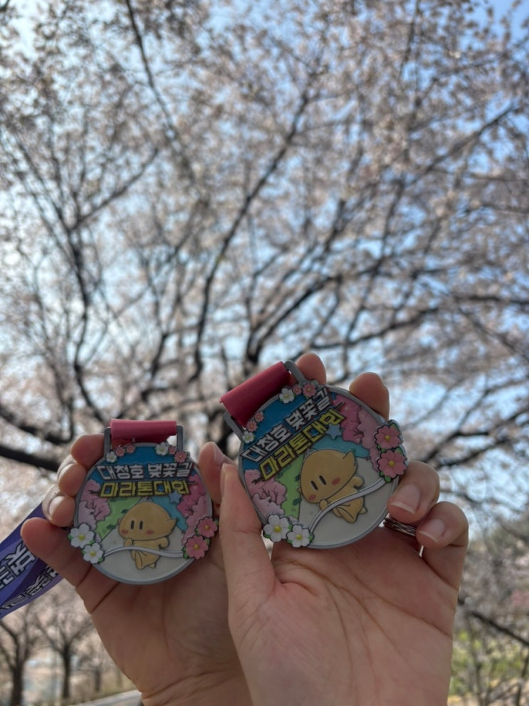 대전 벚꽃 마라톤 후기 / 대청호 벚꽃길 마라톤