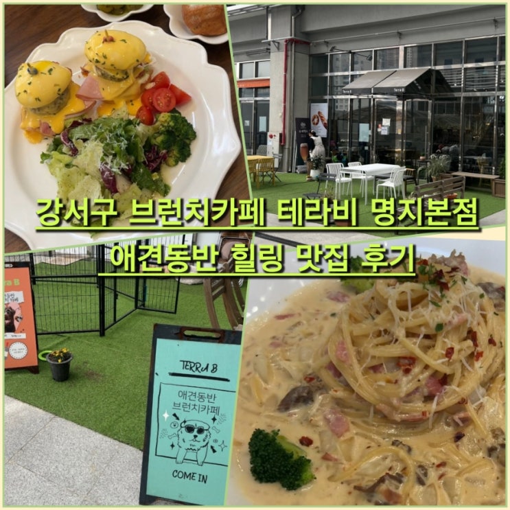 부산 강서구 브런치 카페 '테라비 명지본점' 애견동반 힐링...