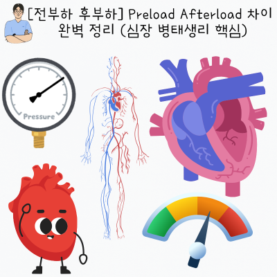 [전부하 후부하] Preload Afterload 차이 완벽 정리 (심장 병태 생리 핵심) : 네이버 블로그